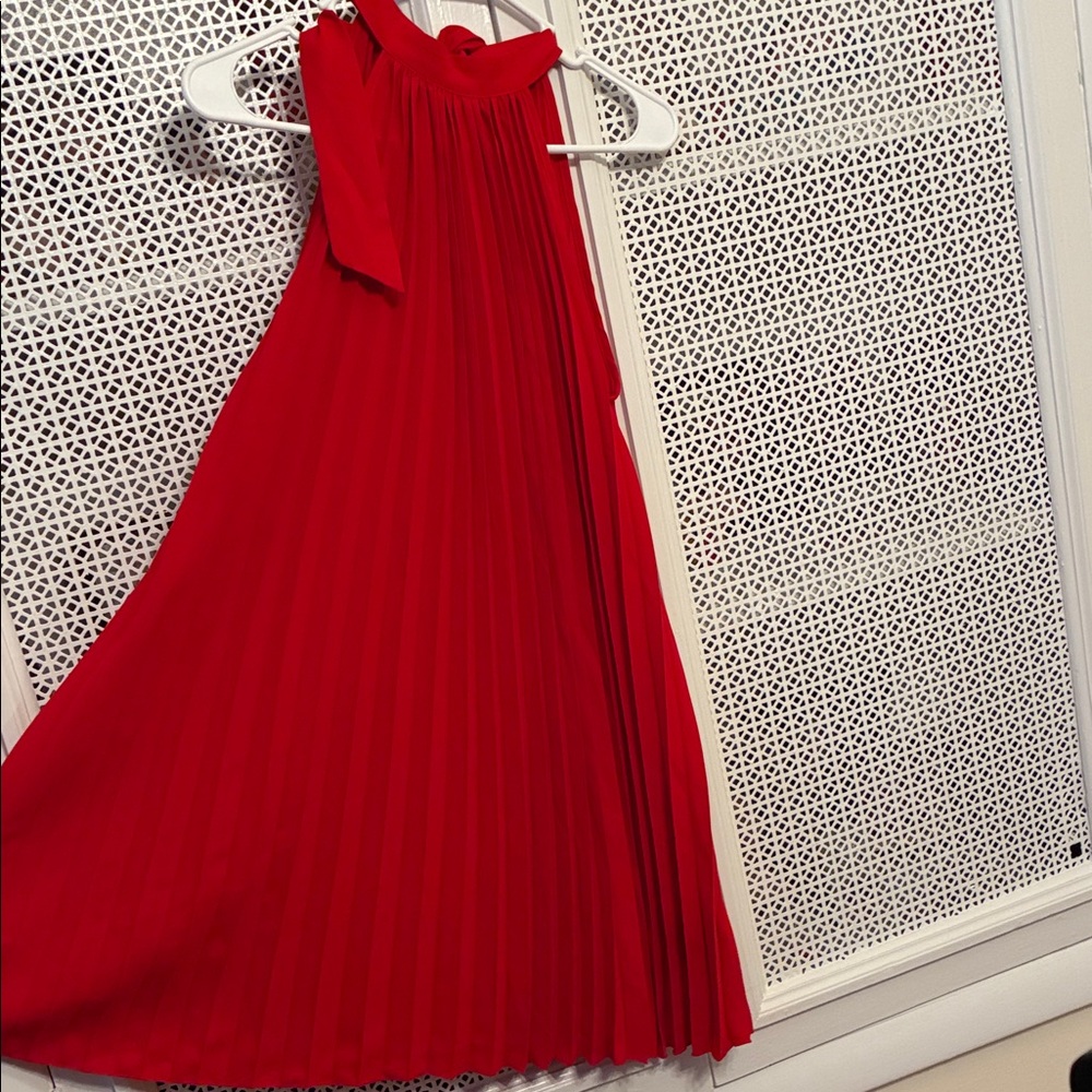 Elegant Scarlet A-Line Pleated Skirt